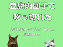 豆腐肉団子で吹 っ 切 れ た