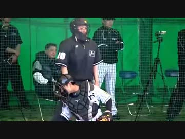 【キャンプでも】白井のコール三段活用【ｷｪｪｪｪｪｪｪｨ】