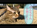 のんちゃん、公園へ行く