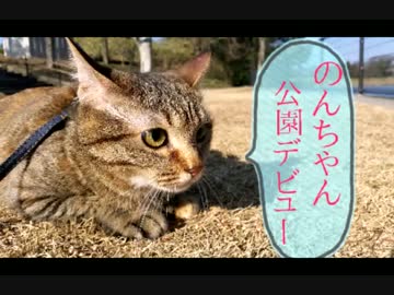 のんちゃん、公園へ行く