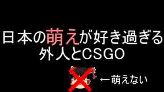 日本の萌えが好き過ぎる外人とCSGO【プレイ動画】