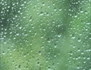 雨音がBGMのクラシックメドレー