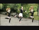 Toluthin Antenna | llトゥルティンアンテナll | 【Amelia】