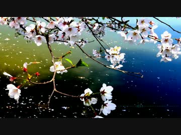 【春ニカ祭2015】Reset【NNI】