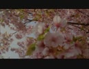 【重音テト】Cherish(オリジナル).mp4