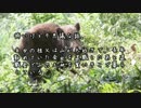 【ゆっくり怪談】隠居【怖い話】