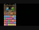 【パズドラ】アメノウズメで水曜D地獄級
