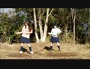 【チャキ】右に曲ガール踊ってみた【くらや】