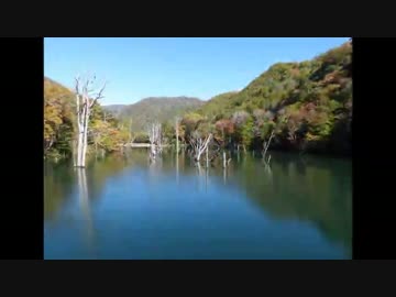 栃木県日光市→福島県檜枝岐村＠帝釈山林道part.1
