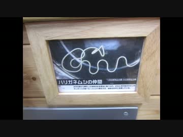 生物園の『奇々怪々な虫展』で不気味な虫の臭いを嗅いできた