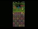 【パズドラ】木曜地獄色物パ【夢見洞】