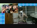 【ジョジョ３部】STAND PROUD　二胡で弾いてみた