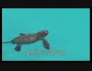 フォーエバーブルー 海の呼び声 ゆっくり実況プレイ part‐97