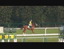 【現地撮影】きさらぎ賞のアッシュゴールドの返し馬