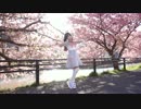 【アイリス✿】 恋愛サーキュレーション - DEA ver. 踊ってみた【桜の下で】