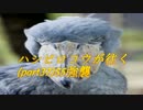 ハシビロコウが往く（Part37）S5強襲
