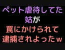 ペット虐待してた姑が罠にかけられて、逮捕されよったｗｗｗ【2ch】