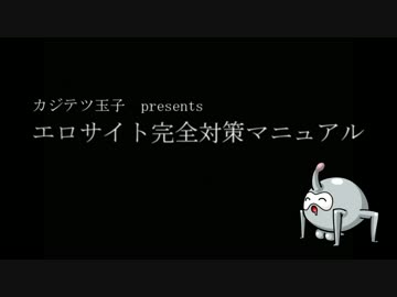 【初心者】エロサイト完全対策マニュアル【必見】