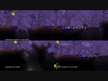 【実況】いい大人達がＰＳ４版テラリアを本気で遊んでみた。番外編part10