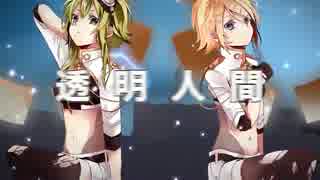 【KAITO&v_flower】インビジブル【VOCALOIDカバー】