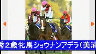 人気の ショウナンアデラ 動画 4本 ニコニコ動画