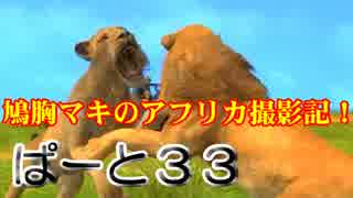 【AFRIKA】鳩胸マキのアフリカ撮影記！ぱーと㉝百獣のプライド！