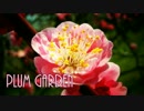 PLUM GARDEN 2015