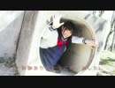 【ちゅんこ】 金曜日のおはよう　踊ってみた