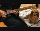 【愛ばんソロ祭り】ギターで弾いてみた【りっくん】