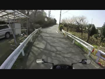 テスト動画帰り編