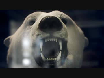 北極を舞台にした恐ろしくも美しいゲーム【Never Alone 実況⑥】