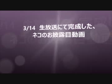 【生放送後】羊毛完成【ねこお披露目】