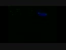 FRIDAY MIDNIGHT BLUE