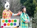 Sweet Life踊ってみた【みーごとパンダ】
