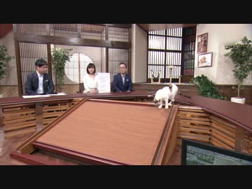 にゃーにゃまとめ2014.03.14