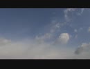 test5