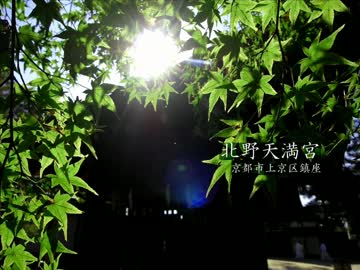 【高画質】古社の風景 ～山城 北野天満宮～