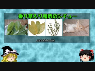 【ゆっくり解説】ゆっくり中つ国徒然草･第10節