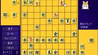 15.02.25 永井兄弟 ハム将棋