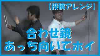 合わせ鏡あっち向いてホイ　投稿アレンジ～左右対称上下同の戦い！～