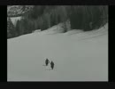 La Grande Illusion　5/5