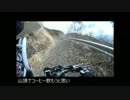 【骨折より復活】半年振りに林道行ってきた