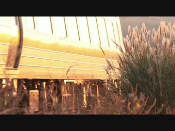 みなぎる撮り鉄魂