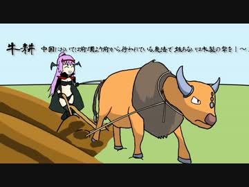 【ポケモンORAS】悪の女幹部＆軍曹のホウエン征服 part4【ゆっくり実況】