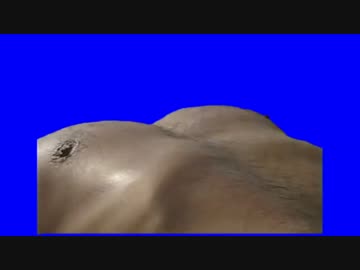 毛皮BB