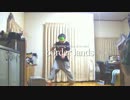 【2nd】 　ボーダーランズ！　踊ってみた　 【カーチェス】