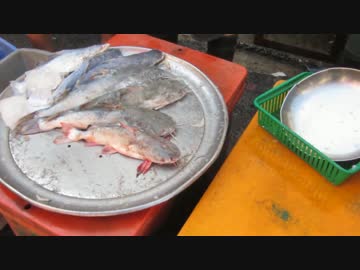 豪華客船で世界一周 ～水族館クルージング～ part5 マレーシア編