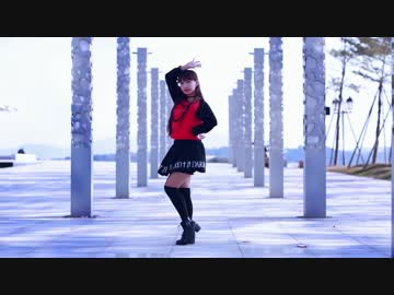 【熊ちゃん】虎視眈々　踊ってみた