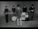 The Buckinghams - Kind Of A Drag　(1966)