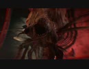 BIOHAZARD REVELATIONS 2　episode4　エセ京都人と画面分割プレイ！part7